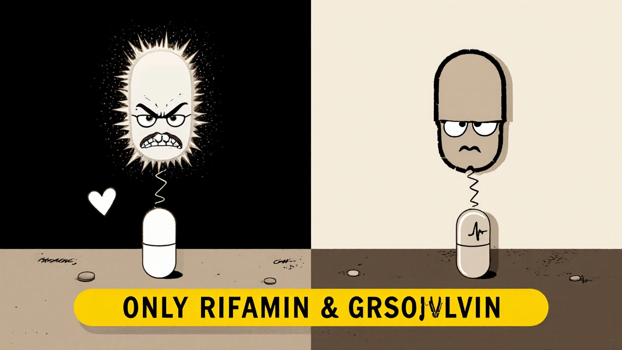 Split scene: dangerous rifampin pill draining birth control pill’s color versus peaceful amoxicillin beside it, warning label in center.